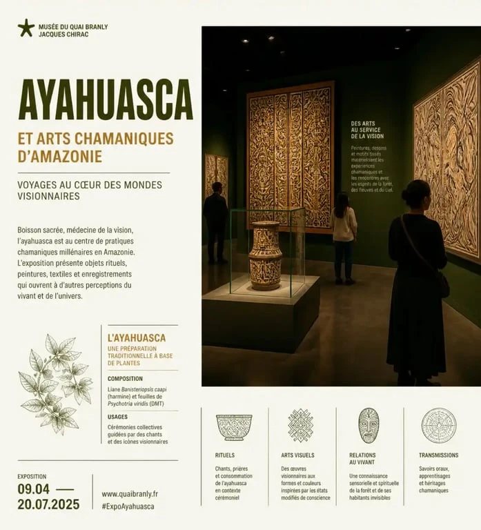 Visions chamaniques quai branly : salle d’exposition sur l’ayahuasca et les arts chamaniques amazoniens